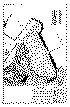 Image112-8.gif (35230 bytes)
