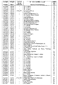 econom75.gif (25855 bytes)